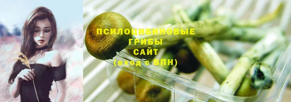 дживик Верея